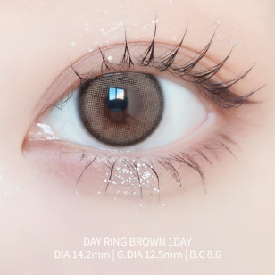 Ann365 1Day – Day Ring Brown 日光지環•茶 日拋 10片裝